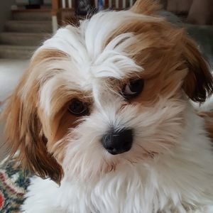 Meet your Posher, Kelly